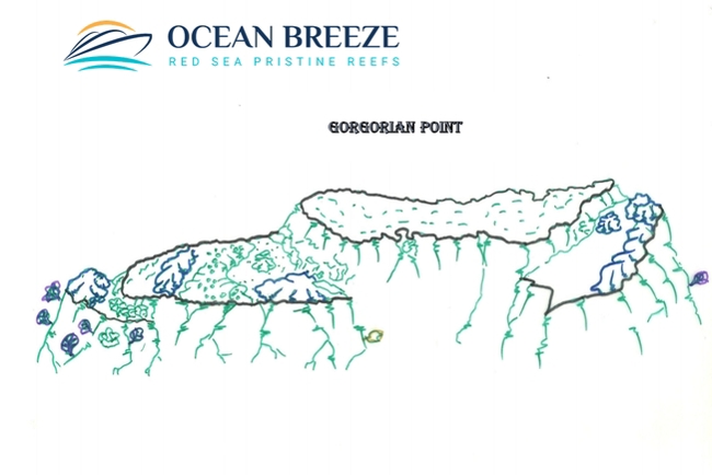 South Gorgonian Reef